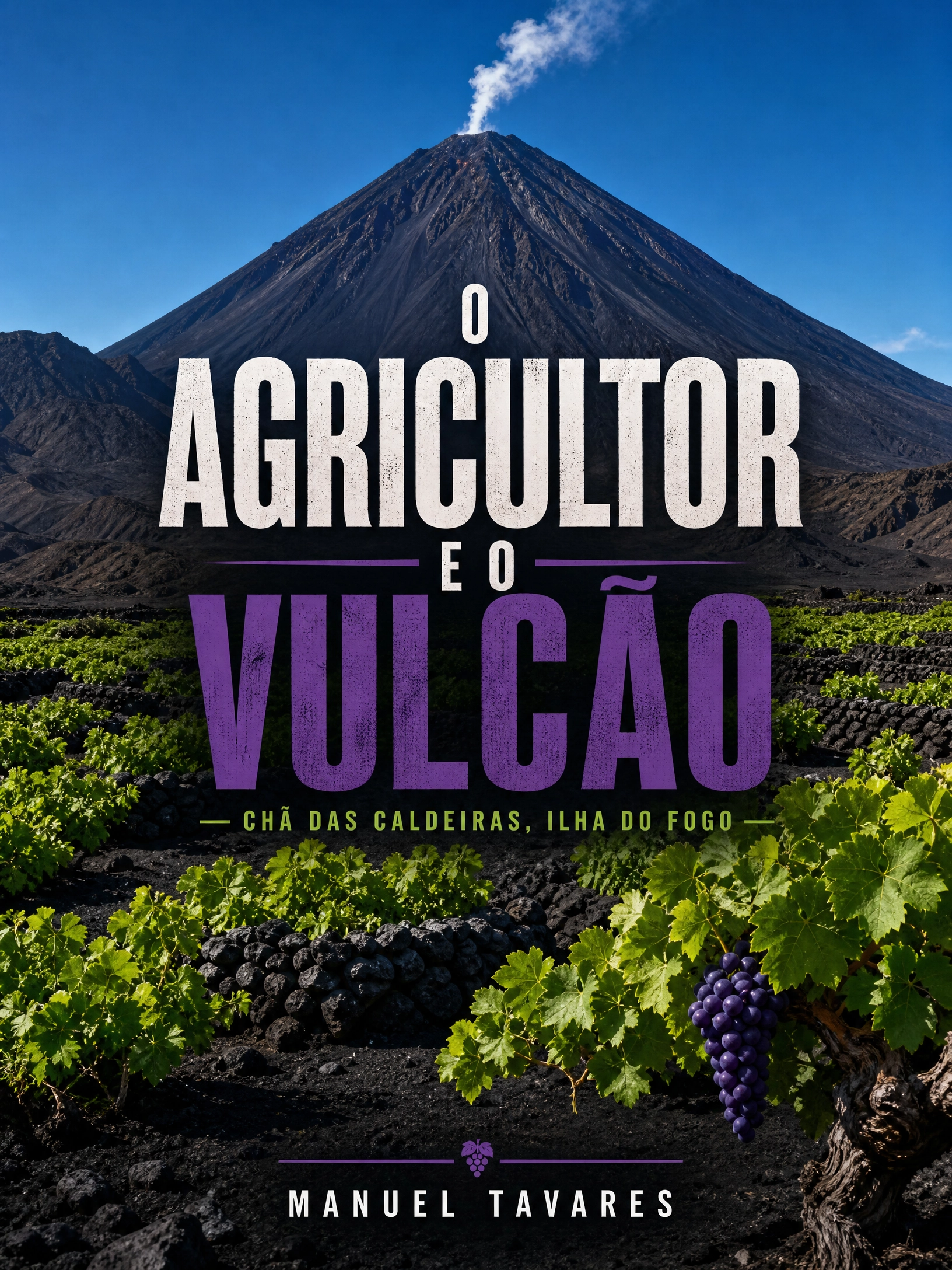 O Agricultor e o Vulcão Videiras verdes a crescer na cinza vulcânica preta em Chã das Caldeiras, com o vulcão Pico do Fogo ao fundo sob céu azul.